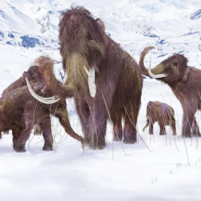 Legyél TE is jégkorszaki mamutvadász!