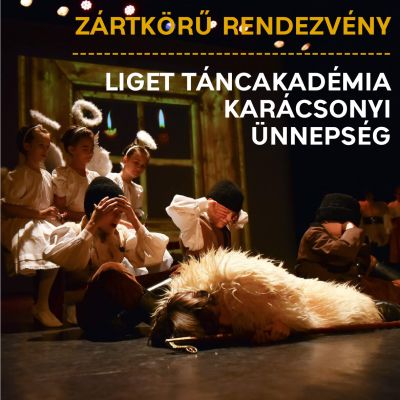 Liget Táncakadémia Karácsonyi Ünnepség - ZÁRTKÖRŰ RENDEZVÉNY